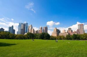 Reasons why you should not miss Central Park in the Spring
