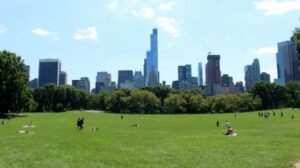 Best Spots to Visit in Central Park