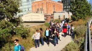 Things To Do NYC: Explore The High Line!