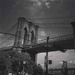 Things To See & Do In Brooklyn